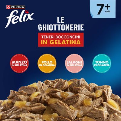 Maxi formato: Felix Le Ghiottonerie 120 x 85 g - Senior