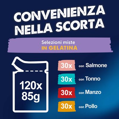 Maxi formato: Felix Le Ghiottonerie 120 x 85 g - Varietà di carne & pesce (Manzo, Salmone, Pollo, Tonno)