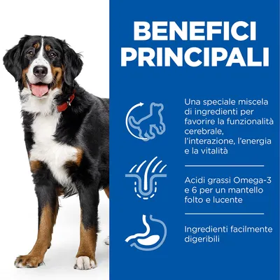 BENEFICI PRINCIPALI: speciale miscela di ingredienti per funzionalità cerebrale, interazione, energia e vitalità; acidi grassi Omega-3 e 6 per mantello folto; ingredienti facilmente digeribili.