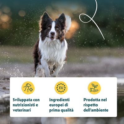 Sviluppato con nutrizionisti e veterinari, componenti europei di prima qualità, prodotto secondo criteri di sostenibilità ambientale.
