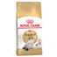 Royal Canin Ragdoll Adult 2 kg