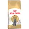 Royal Canin British Shorthair Adult pour chat 2 kg