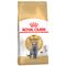 Royal Canin British Shorthair Adult 10 кг