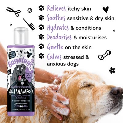 Dog shampoo bottle with benefits listed: relieves itchy skin, soothes sensitive and dry skin, hydrates, conditions, deodorises, moisturises, gentle on skin, calms stressed and anxious dogs.