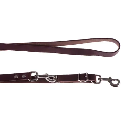 Laisse pour chien en cuir marron avec mousquetons et anneaux métalliques visibles, boucle de maintien à une extrémité.