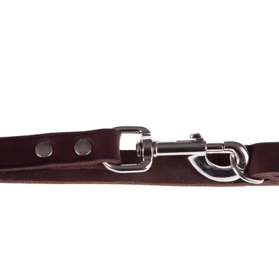Braune Hundeleine aus Leder mit silbernem Metallkarabiner und Nietenverschluss.