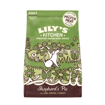 Lily's Kitchen Adult lamm - Ekonomipack: 2 x 2,5 kg