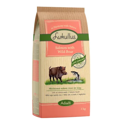 Pakiranje hrane za pse Lukullus Salmon with Wild Boar, hladno stiskano, Adult, 1 kg. Na embalaži sta narisana divji prašič in losos. Vidno besedilo v angleščini.