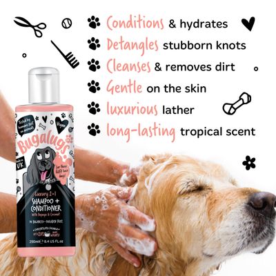 Luxury 2-in-1 shampoo and conditioner being applied, conditions, detangles, cleanses, gentle on skin, creates luxurious lather, long-lasting tropical scent. Vegan and paraben free.