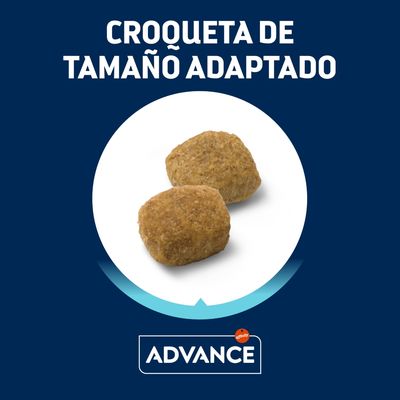 Croqueta de tamaño adaptado. Imagen de dos croquetas Advance Affinity sobre fondo blanco.