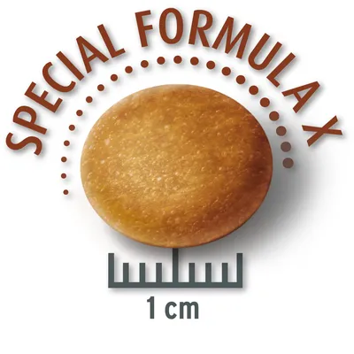 Krokettevorm met een diameter van 1 cm, tekst: Special Formula X.