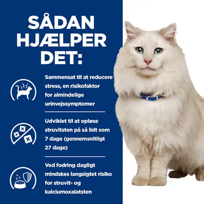 SÅDAN HJÆLPER DET: Sammensat til at reducere stress, opløse struvitsten på 7 dage, daglig fodring mindsker risiko for struvit- og kalciumoxalatsten. Tekst med katteikon og skål.