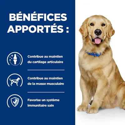 Bénéfices apportés : contribue au maintien du cartilage articulaire, de la masse musculaire et favorise un système immunitaire sain. Chien assis avec collier bleu visible.