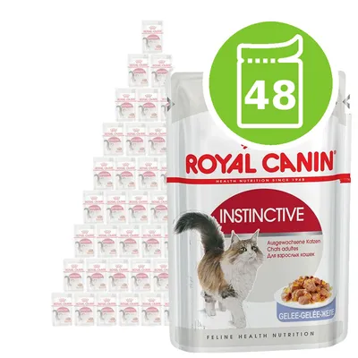 Royal Canin Instinctive wet food multipack with 48 pouches shown. Large pouch in front, pyramid of smaller packs behind, green icon displaying number 48.
