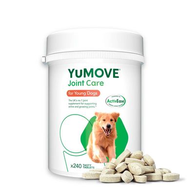 YuMOVE Joint Care for Young Dogs, 240 tasty tablets, joint supplement with ActivEase for supporting active and growing joints. Image shows product container and tablets.