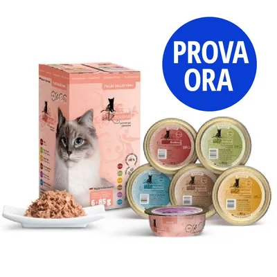 Confezione e vaschette assortite di cibo per gatti Catz Finefood, 6×85 g. Etichetta blu con testo: PROVA ORA.