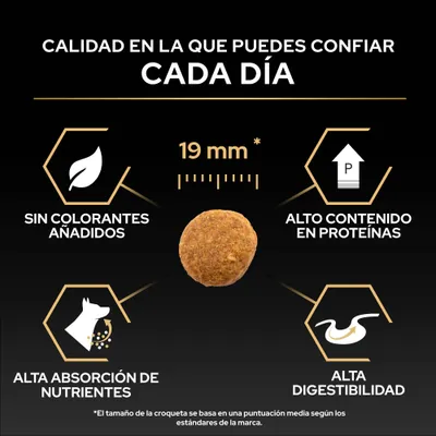 Tamaño de croqueta 19 mm, sin colorantes, alto contenido de proteínas, alta absorción de nutrientes y alta digestibilidad. Calidad en la que puede confiar cada día.