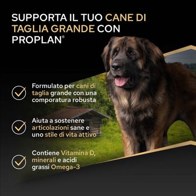 Sostieni il tuo cane di taglia grande con ProPlan. Contiene vitamina D, minerali e acidi grassi omega 3. Favorisce articolazioni sane e uno stile di vita attivo.