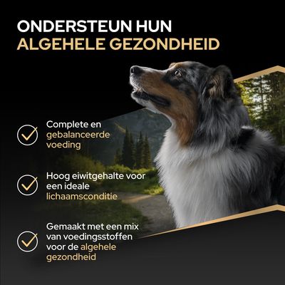 Ondersteun de algehele gezondheid: volledige en uitgebalanceerde voeding, hoog eiwitgehalte voor een ideale lichaamsconditie, mix van voedingsstoffen voor de gezondheid.