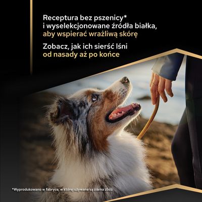 Receptura bez pszenicy i wyselekcjonowanych źródeł białka dla wspomagania wrażliwej skóry. Sierść lśni od nasady aż po końce.