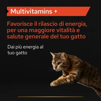 Multivitamins + Favorisce il rilascio di energia, per una maggiore vitalità e salute generale del tuo gatto. Dai più energia al tuo gatto.