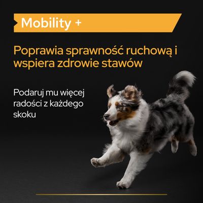 Mobility+. Poprawia sprawność ruchową i wspiera zdrowie stawów. Podaruj mu więcej radości z każdego skoku.