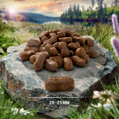 Kúsky krmiva pre psov na kameni, veľkosť 20-23 mm. Prírodné prostredie s lesom a jazerom v pozadí.