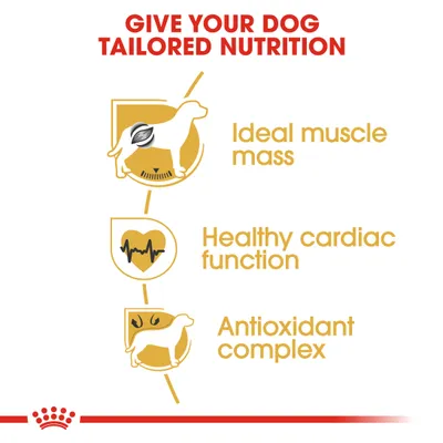 Key benefits shown: ideal muscle mass, healthy cardiac function, and antioxidant complex for tailored dog nutrition.