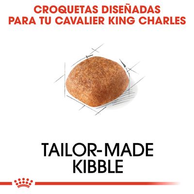 Croquetas diseñadas para tu Cavalier King Charles. Tailor-made kibble. Imagen de una croqueta individual.
