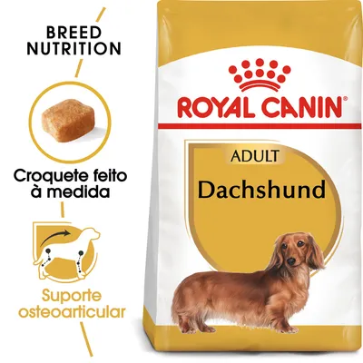 Royal Canin Adult Dachshund. Croquete feito à medida. Suporte osteoarticular. Imagem de um cão Dachshund na embalagem.