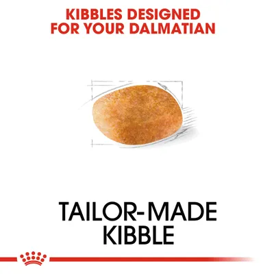 KIBBLES DESIGNED FOR YOUR DALMATIAN, TAILOR-MADE KIBBLE. Kuvassa yksittäinen ruskea nappula. Teksti englanniksi.