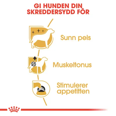 Royal Canin Poodle Adult