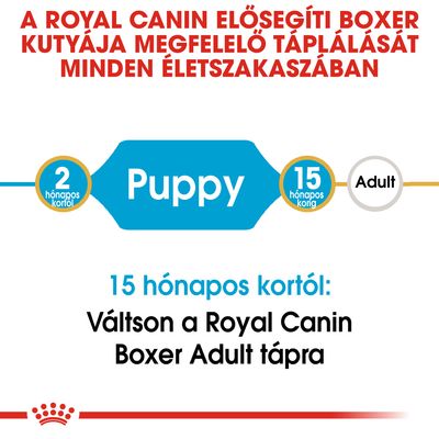 Royal Canin: Boxer kölyökkutya táp 2 hónapos kortól 15 hónapos korig, utána váltson Boxer Adult tápra. Puppy és Adult szakaszok kiemelve.