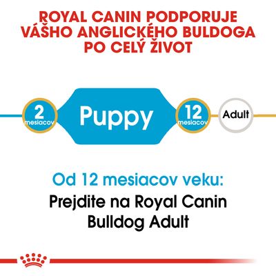 ROYAL CANIN podporuje anglického buldoga po celý život. Od 12 mesiacov prejdite na Royal Canin Bulldog Adult. Puppy: 2–12 mesiacov, Adult od 12 mesiacov.
