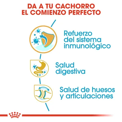 Da a tu cachorro el comienzo perfecto: refuerzo del sistema inmunológico, salud digestiva y salud de huesos y articulaciones.
