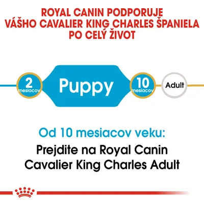 Royal Canin podporuje Cavalier King Charles španiela po celý život. Od 10 mesiacov prejdite na Royal Canin Cavalier King Charles Adult. Puppy: 2–10 mesiacov, Adult od 10 mesiacov.