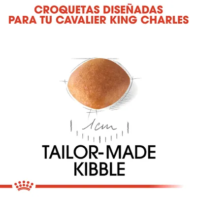 Croquetas diseñadas para tu Cavalier King Charles, tamaño de croqueta 1 cm. Texto en inglés: Tailor-made kibble.