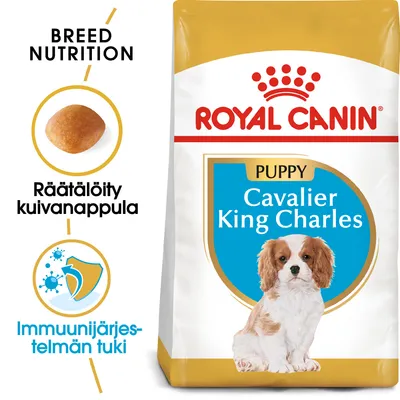 Royal Canin Puppy Cavalier King Charles -koiranruokapakkaus, tekstit: Räätälöity kuivanappula, Immuunijärjestelmän tuki, BREED NUTRITION. Kuvassa pentukoira ja nappula.