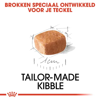 Brokken speciaal ontwikkeld voor je teckel, afbeelding van een brok met maatindicatie 1 cm, tekst: tailor-made kibble.