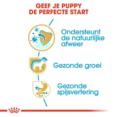 Geef je puppy de perfecte start. Ondersteunt de natuurlijke afweer, gezonde groei, gezonde spijsvertering.