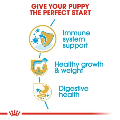Text: Give your puppy the perfect start. Immune system support, healthy growth & weight, digestive health. Three icons: shield, puppy with 'kg', and stomach.