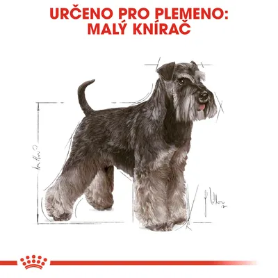 Určeno pro plemeno: malý knírač. Ilustrace psa s náčrtky rozměrů kolem těla.