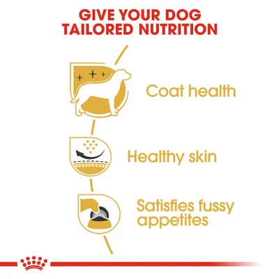 Teksti englanniksi: Give your dog tailored nutrition. Coat health, Healthy skin, Satisfies fussy appetites. Kolme kuvaketta koiran turkista, ihosta ja ruokakupista.