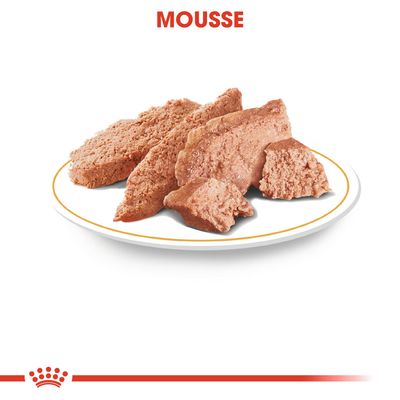 Assiette avec mousse pour animaux, texture visible. Texte en haut : MOUSSE. Couronne stylisée rouge en bas de l’image.