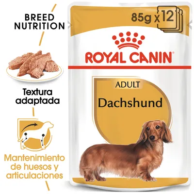 Royal Canin Adult Dachshund 85g x12, textura adaptada, mantenimiento de huesos y articulaciones. Imagen del producto con perro salchicha y comida húmeda en plato.