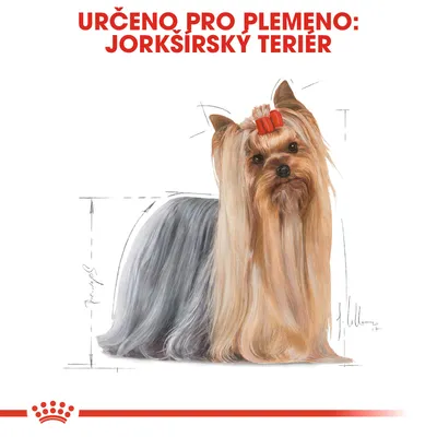 Určeno pro plemeno: Jorkšírský teriér. Ilustrace psa s dlouhou srstí a červenou mašlí na hlavě.
