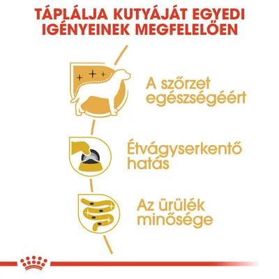 Táplálja kutyáját egyedi igényeinek megfelelően: a szőrzet egészségéért, étvágyserkentő hatás, az ürülék minősége