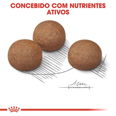 Três croquetes redondos de ração com escala desenhada a indicar 1 cm. Texto visível: 'Concebido com nutrientes ativos'.