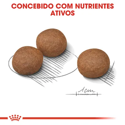 Três croquetes redondos de ração com escala de 1 cm e texto visível: 'Concebido com nutrientes ativos'.
