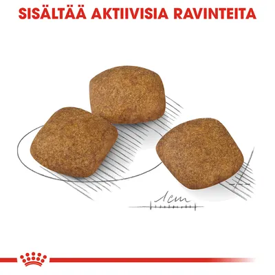 Kolme neliönmuotoista kuivaruokanappulaa, koko noin 1 cm. Yläreunassa teksti: SISÄLTÄÄ AKTIIVISIA RAVINTEITA.